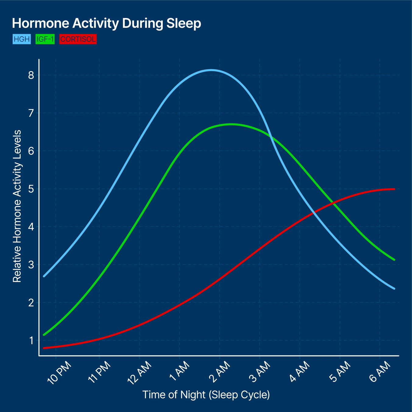 Hormone_Activity_During_Sleep.webp