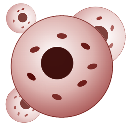 STEMCELLS.png