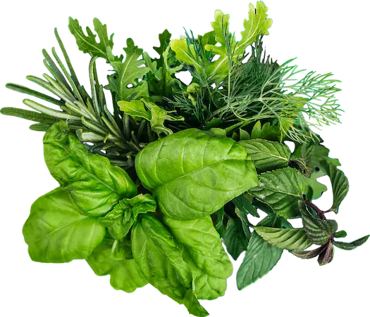 Natural botanicals