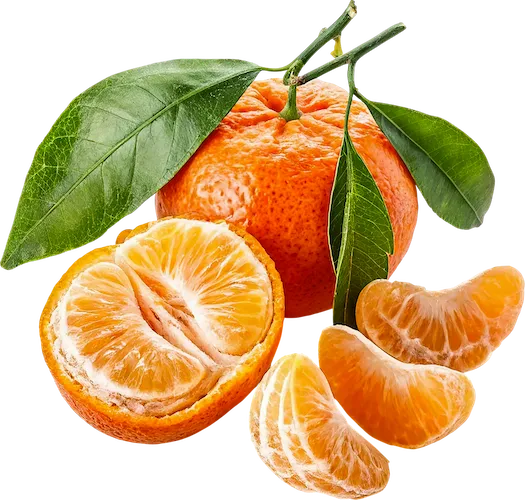Ponkan Fruit Extract
